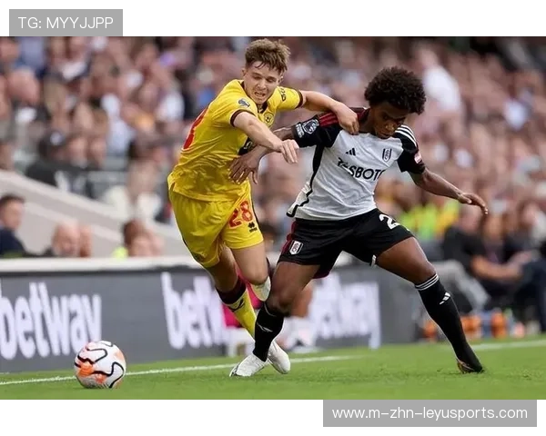 卡多索助力河南队重回巅峰,球队展现强大战力 卡多索助力河南队重回巅峰,球队展现强大战力